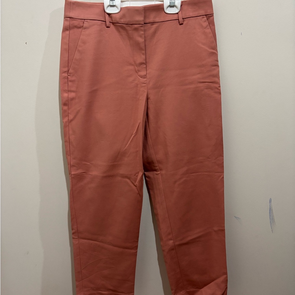🌷Ann Taylor LOFT Salmon straight leg curvy fit tailored trouser, pockets